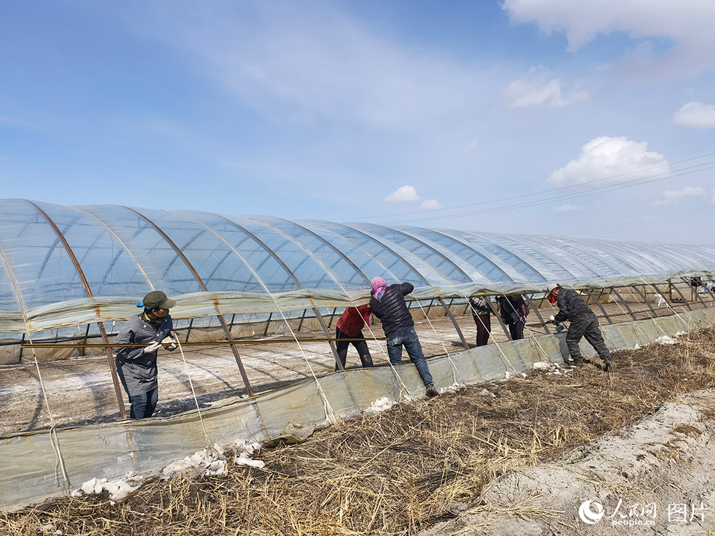 319ڼʡ׳lhƽlAͥrrS޴ʂrYȫԸ䴺z