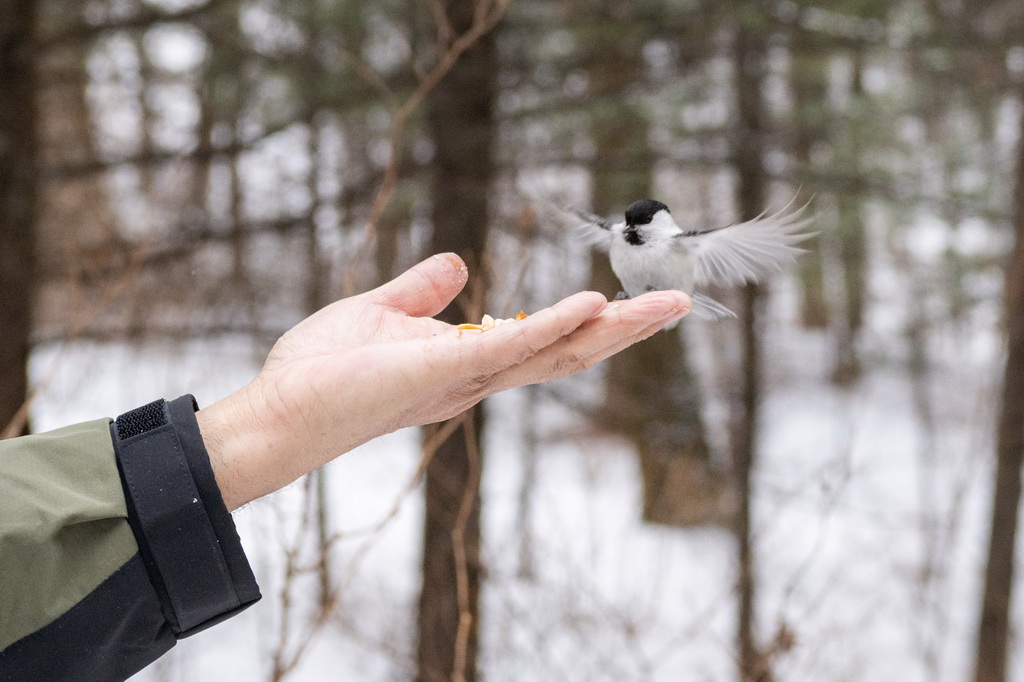 дɽhlږ|ɽ@BoBιʳ315Քz57qɭl֘I؟ι˾oֆT峿ɽBһшԳֳ^10˷QB塱ۄӲپ뵽PBЄЁAӛ xw z