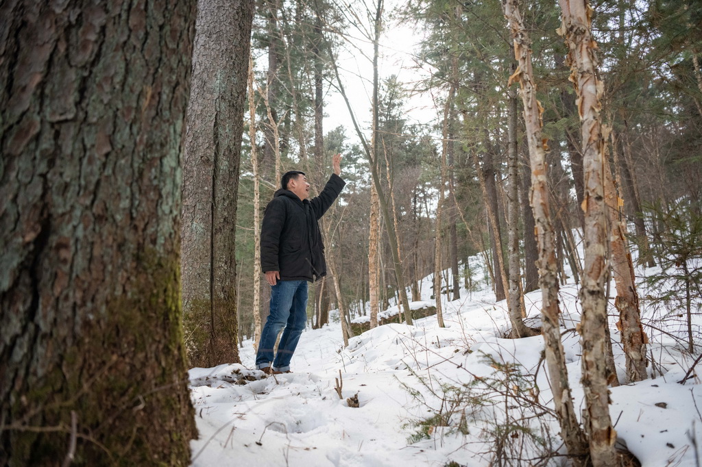 λSֿhIɭֹ@޽Aھɭ̖ӣ313Քz42qĴ޽AһFIɭֹ@Iɭֹ@^^܇˾CĻLβLFҪؓ؟ӖսӴȹǮصġƌΡAӛ xw z