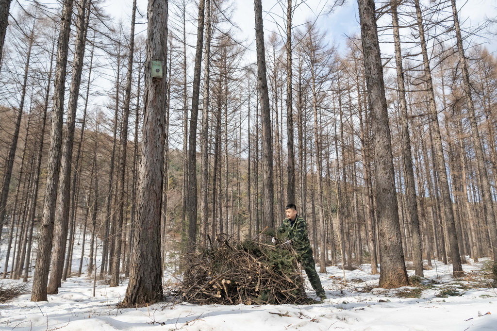 ^һ̎ɭֿɳmIԇcӵѲoT^ʣ314Քz30q^ɭϪ֘I؟ι˾ɽֈֹ˾һѲoTһAӛ xw z