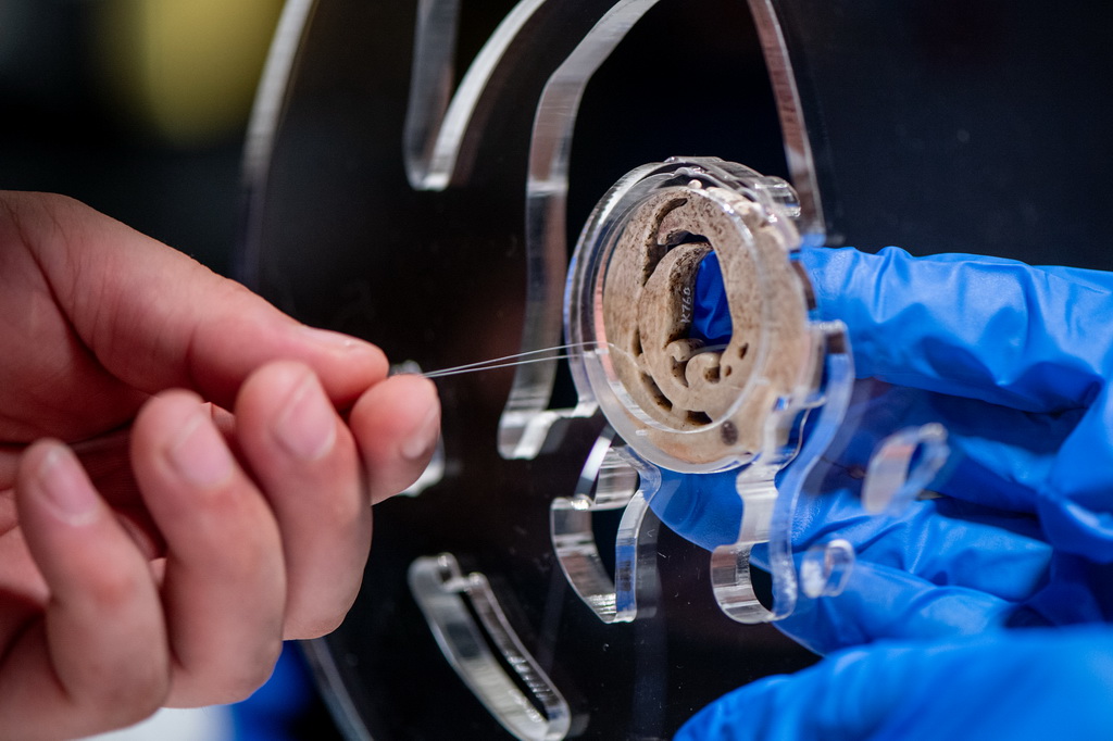 330ˆTڹ̶չƷFP