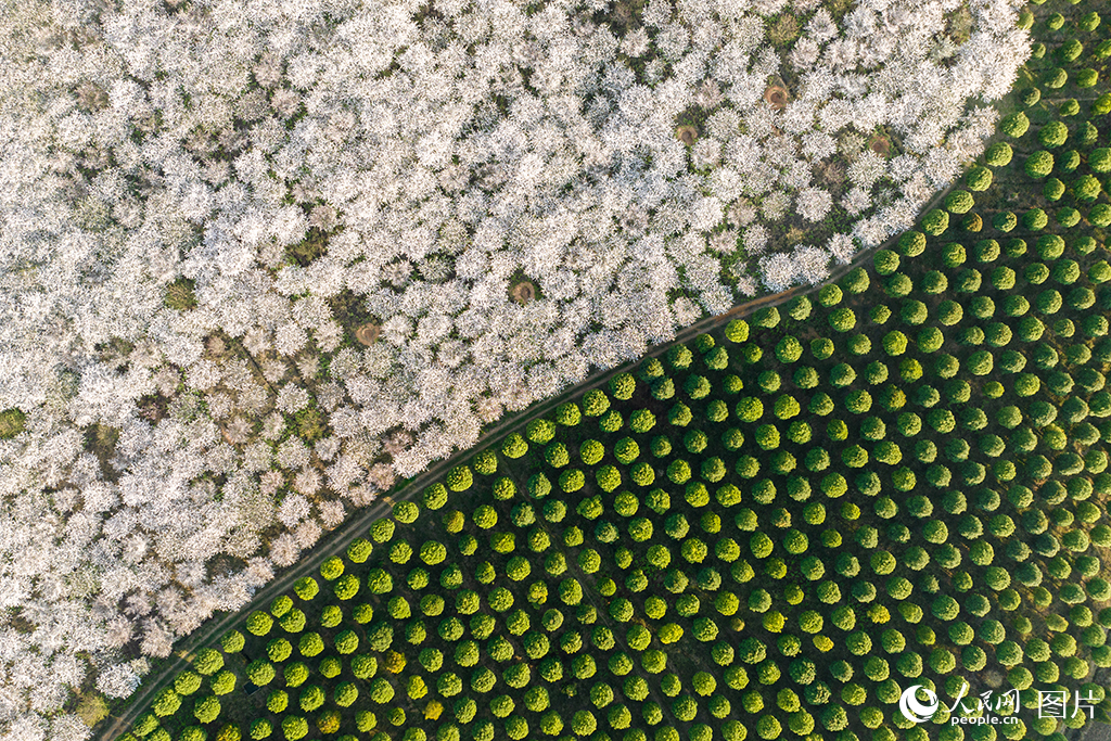 328FݰSDѻ@Wӛ Ϳz