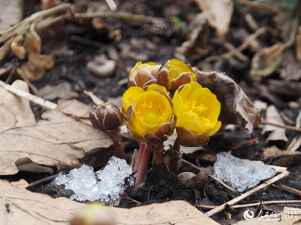 44L̶ɭֹ@軨Ȼ`˂˴ĚϢWӛ z