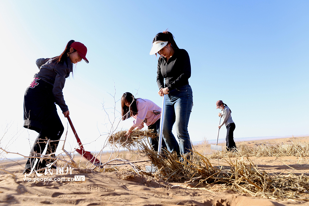 CҴWWɳь`n_ڻĮ6