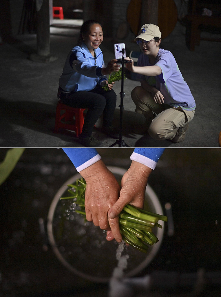 上圖：在廣西柳州市融水苗族自治縣桿洞鄉烏英苗寨，48歲的梁足英（左）向大學生學習直播帶貨；下圖：梁足英在洗野菜，準備銷往縣城（4月30日攝，拼版照片）。近年來，她積極參加夜校學習，并通過網絡直播銷售當地蔬菜。