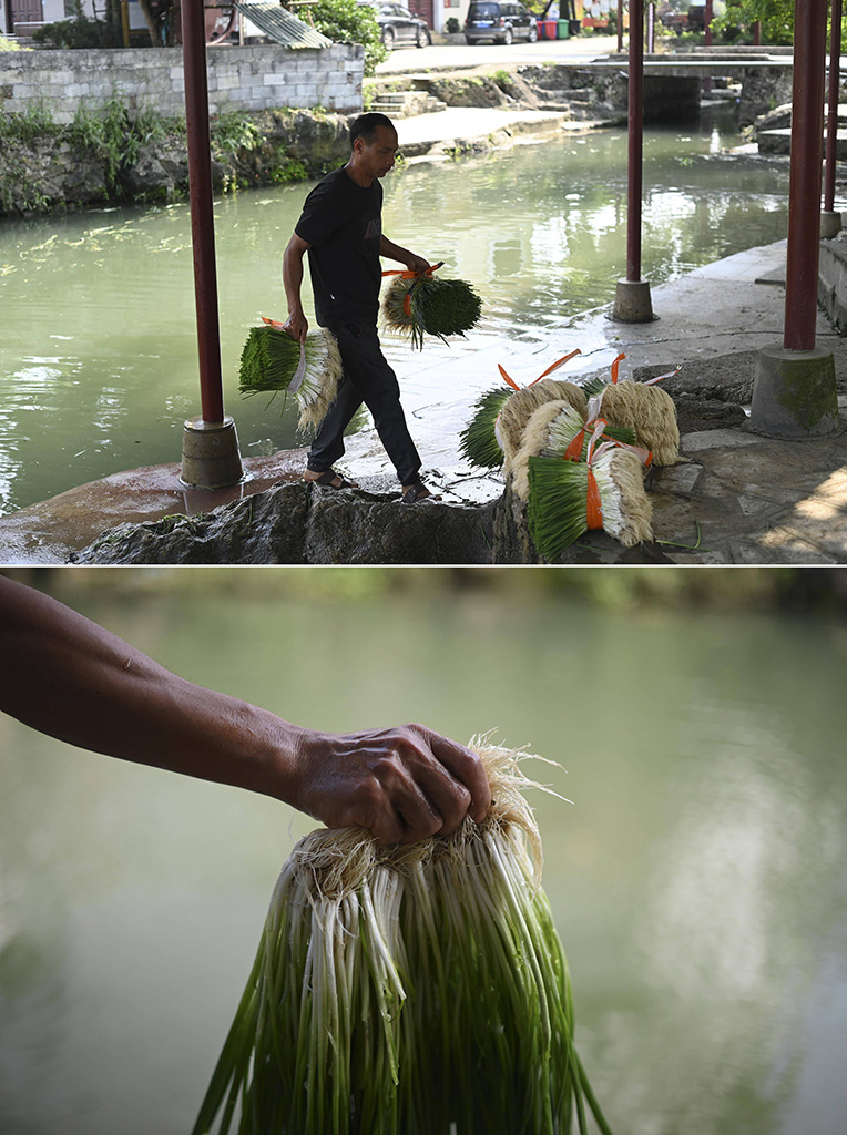 ڏV^Xɽfа\[ʂ乩Ј416ՔzƴƬ[NֲaIXɽ¸֧aIfзNֲ10஀[