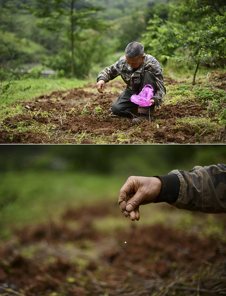 ڏVڰh|l~ɽϲN423ՔzƴƬ10۷lIʹһlչˮNֲ^