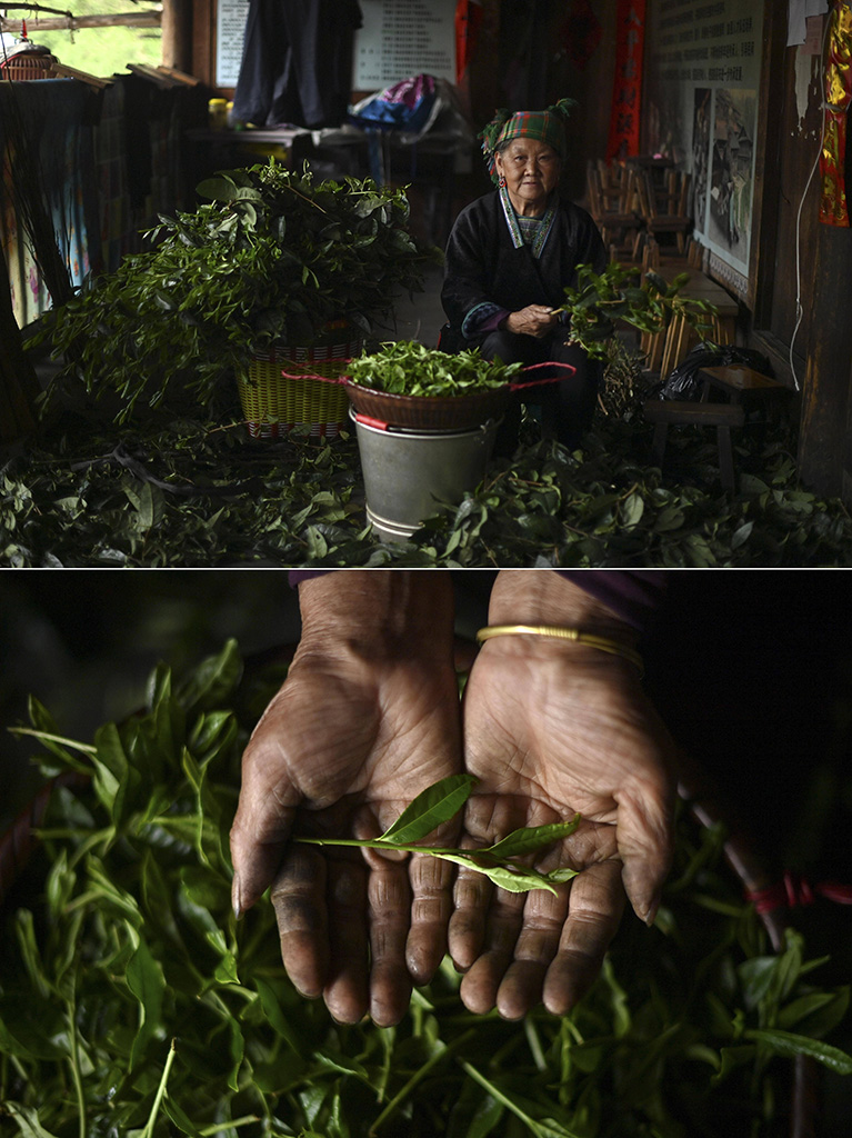 ڏVˮοhUlhF72qû턂ժĲ~411ՔzƴƬͲǮصĂyƷûÿ춼ҪͲ