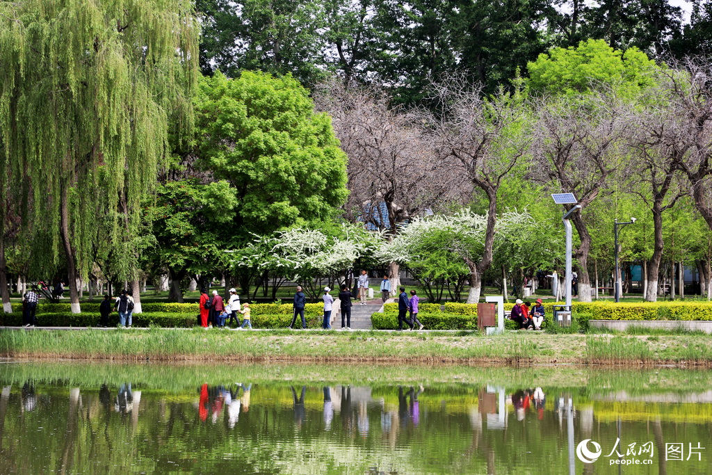 51ڸCʡmֲ@̤Wӛ ļΔz