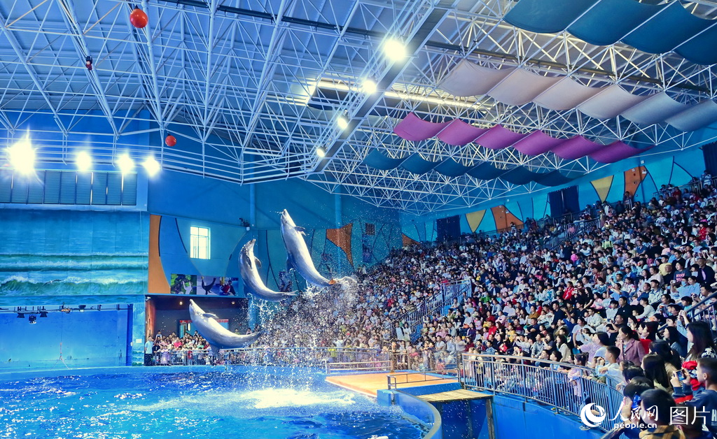 51ڽʡMݺgȼW 캣iz