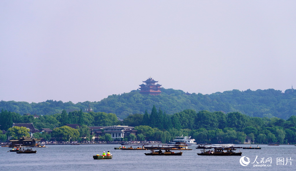 51㽭Ϯδքο͂RӺһWӛ Pz