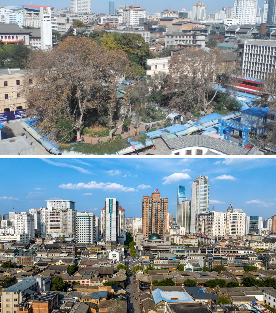 ƴƬψD޿ǰϽ֣YƬAlꐑzD513ĔzϽ֣o˙CƬAӛߺz