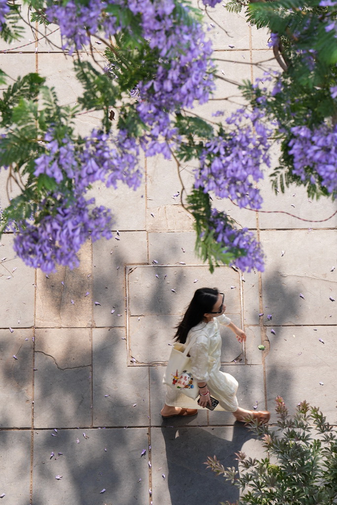 Xʢ_{^424ՔzAӛ oU z