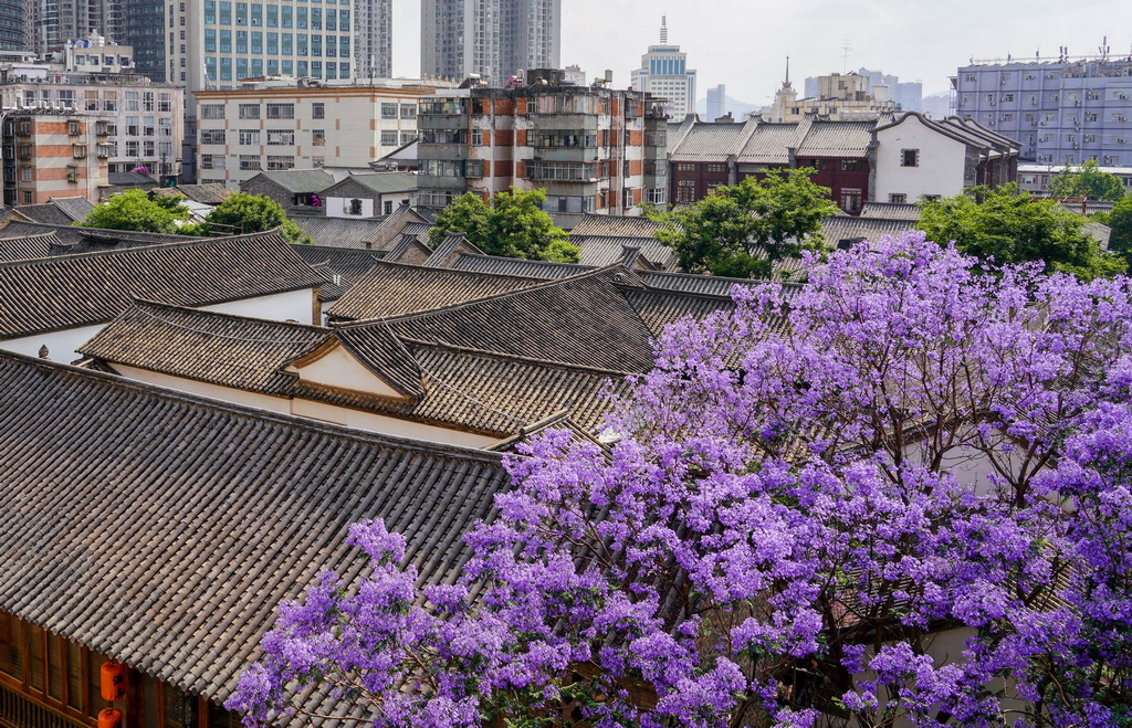 Ͻһǣ424ՔzAӛ oU z