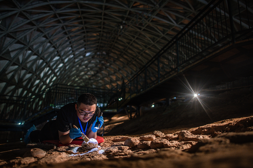 516ϿЈF꠿ˆTږ|ڙz鲩^ԭַoʯıLr