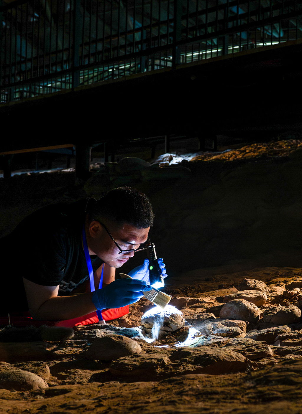 516ϿЈF꠿ˆTږ|ڙz鲩^ԭַoʯıLr