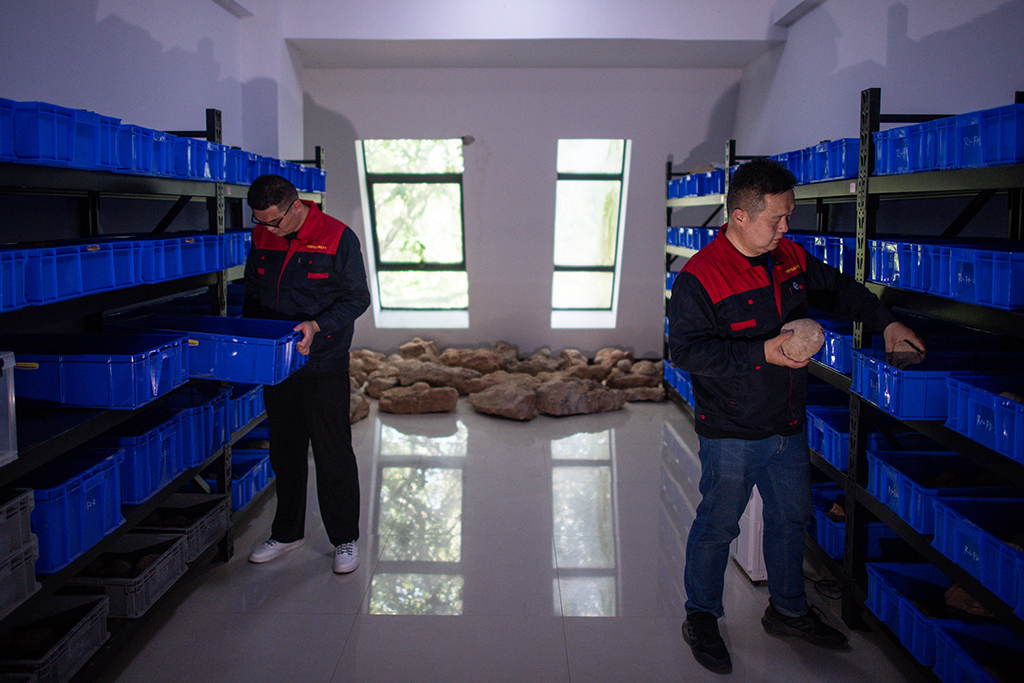 516w赺ږ|飨ڲ^췿zʯ˱