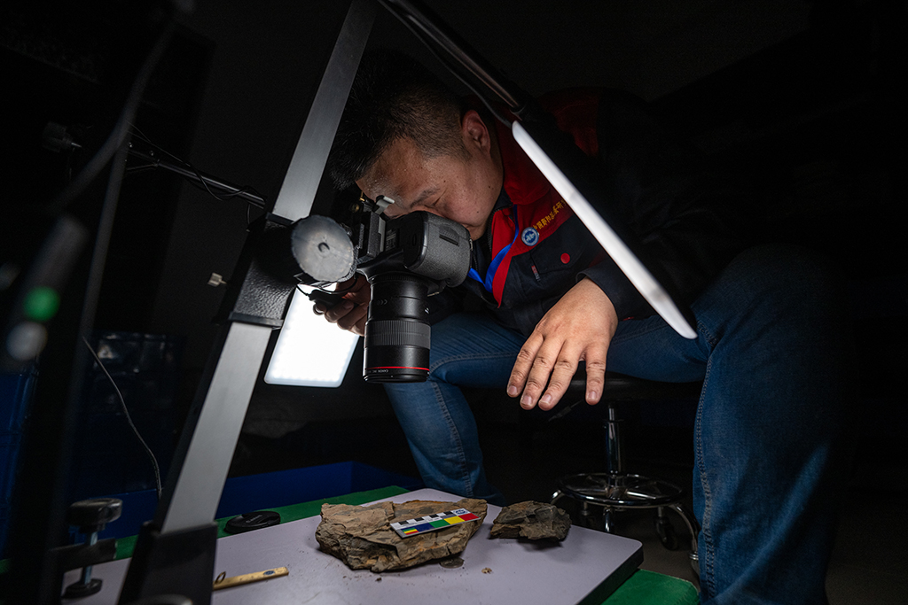 515wڲ^оČʯ˱Mյӛ