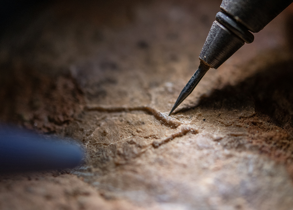 515wڲ^оČҪʯ˱΢YM