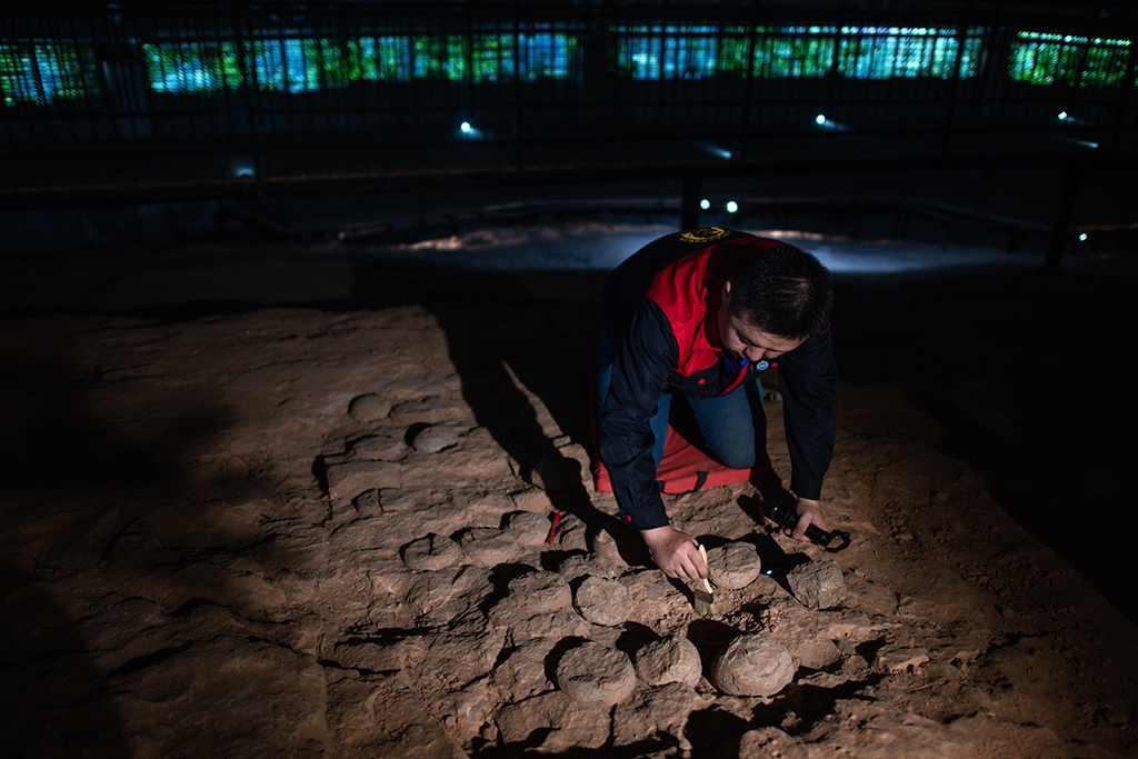 ?516wڲ^zַ^zʯȺ̖