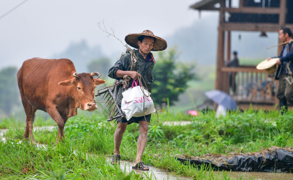 518Fʡƽh󶴴ţǰ텢ţAӛ ı z