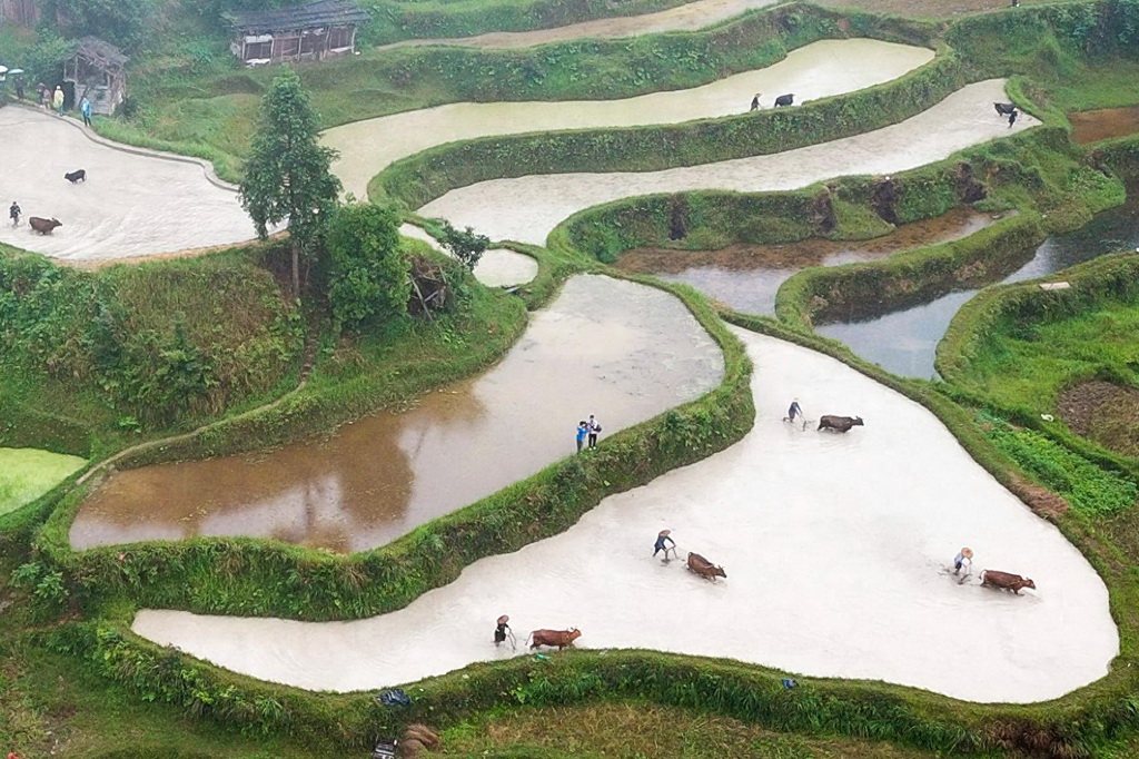 518Fʡƽh󶴴څţӣo˙CƬAlz