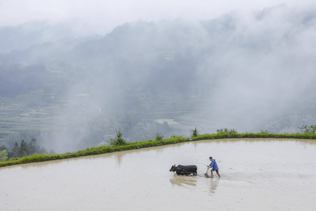 518Fʡƽh󶴴څţAlǹxz