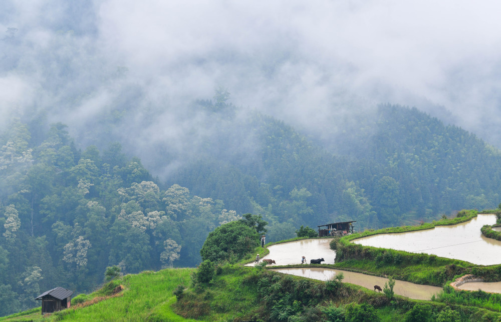 518Fʡƽh󶴴څţAӛ ı z