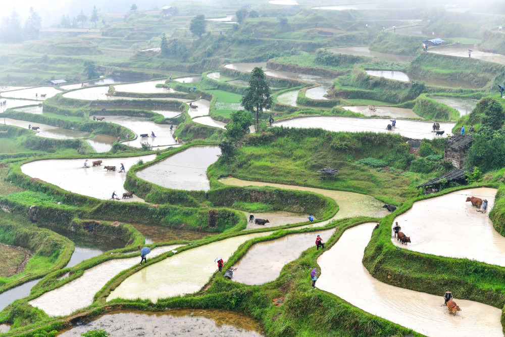 518Fʡƽh󶴴څţAӛ ı z