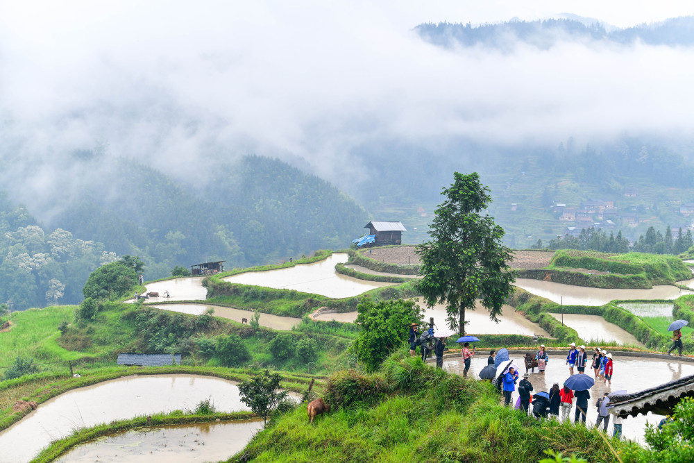 518Fʡƽh󶴴ο^yţչʾAӛ ı z