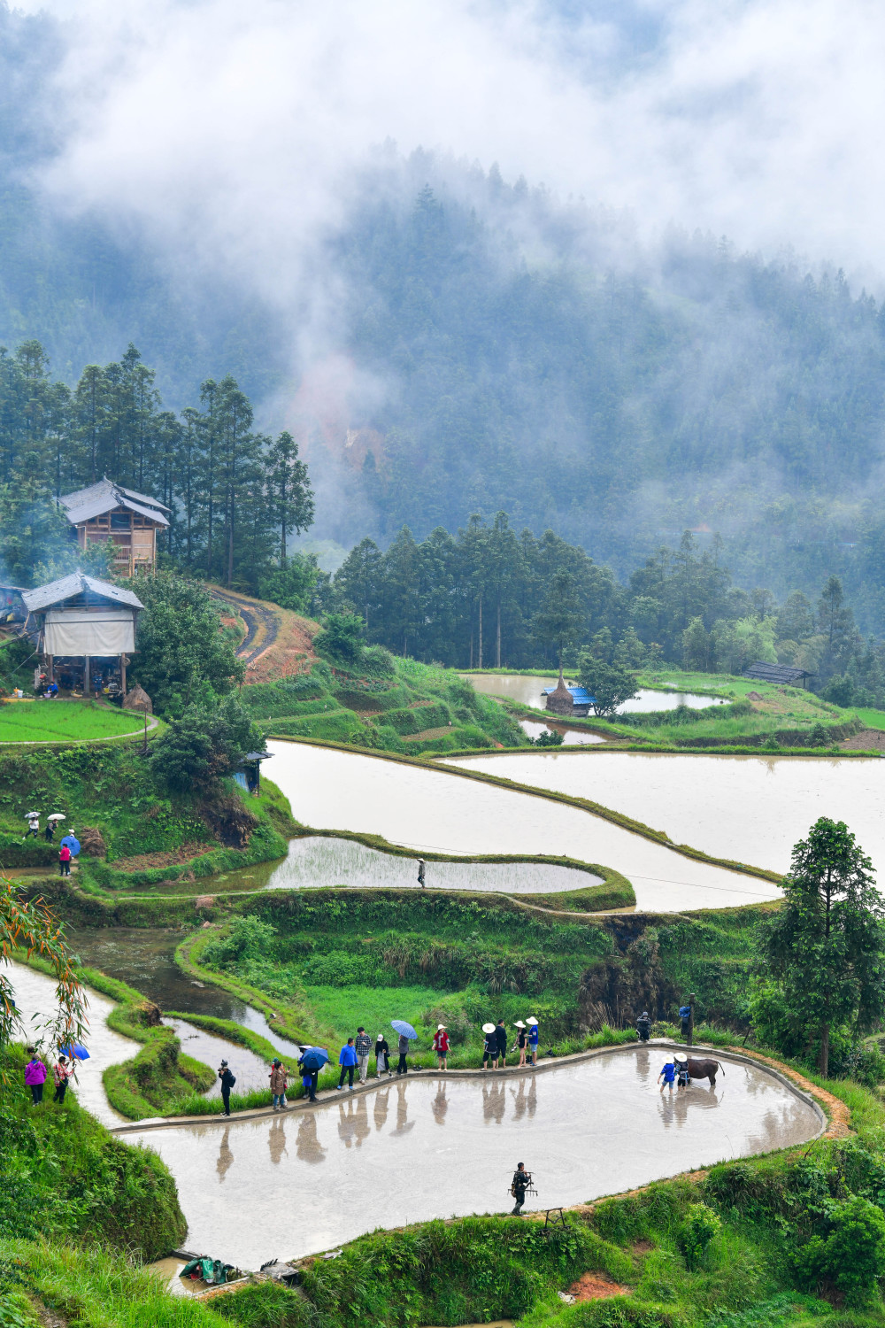 518Fʡƽh󶴴ο^yţչʾAӛ ı z