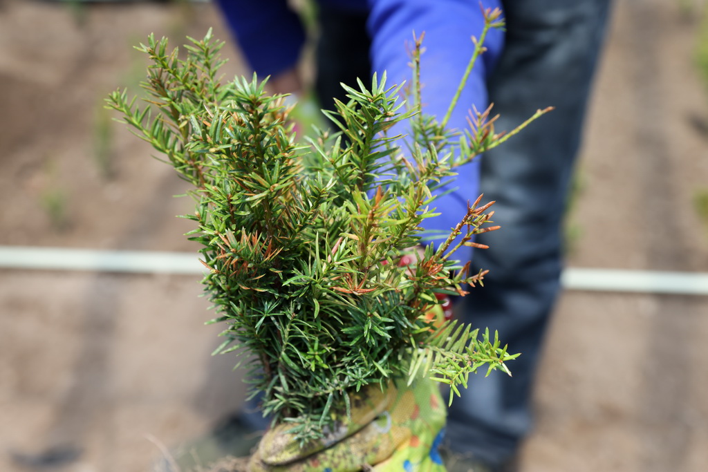 @59LɽƌWоԺĔzĖ|tɼAӛ Ύ z