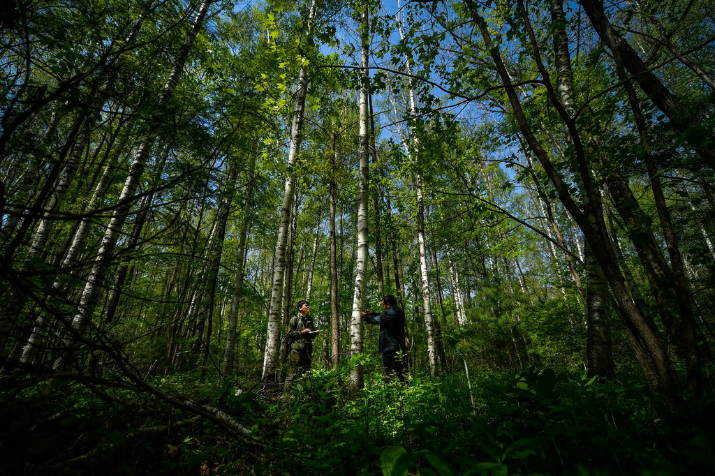 Z裨󣩺͹ˆTw·LɽҼȻo^̶ֲOyӵ؜yӛ䛘ľL59ՔzAӛ S z