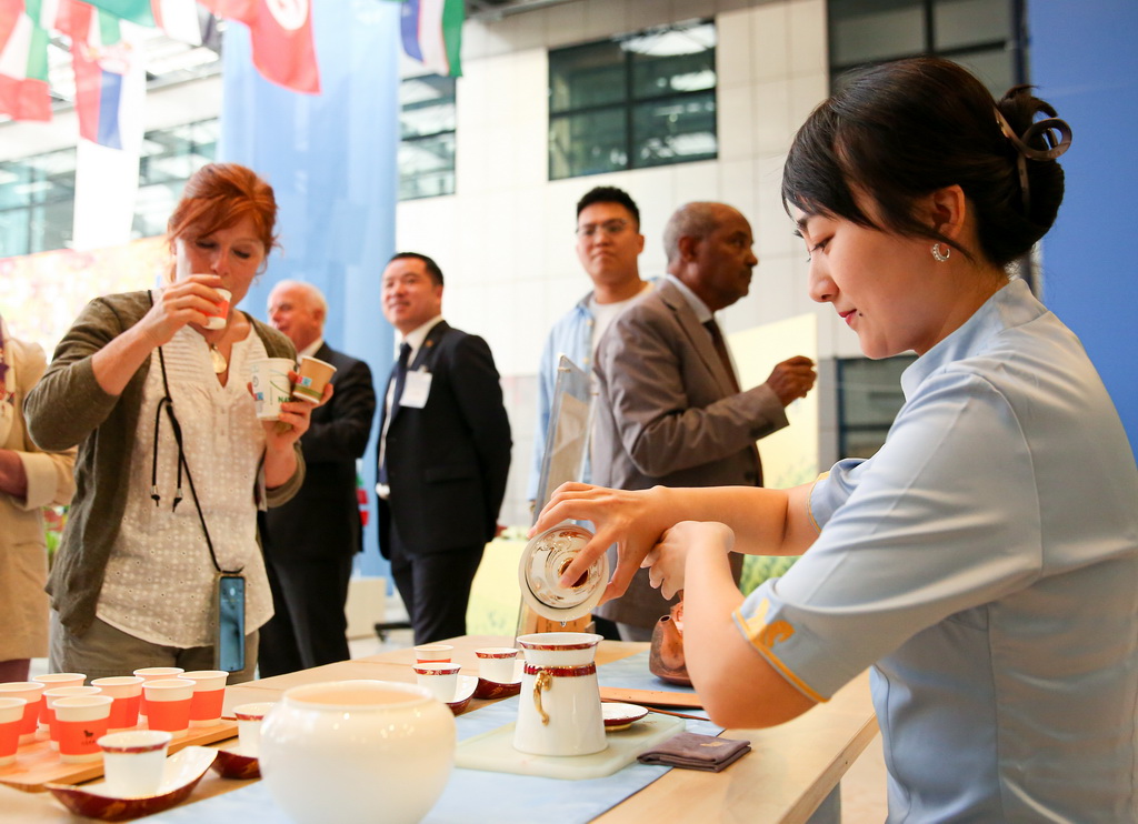 5月21日，在位于意大利羅馬的聯合國糧農組織總部，人們品嘗、了解中國茶。