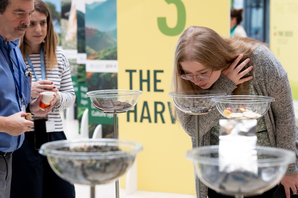 521˂λ_RχZrM