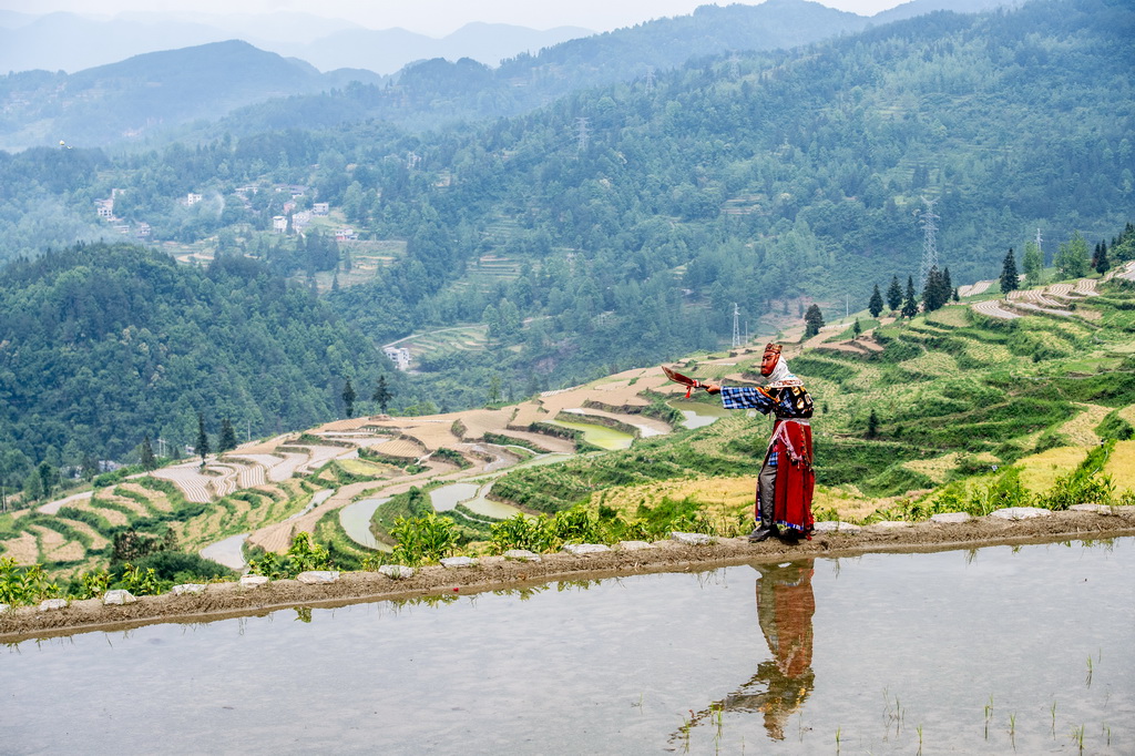 5月17日，陳永霞在田梗上練習陽戲。
