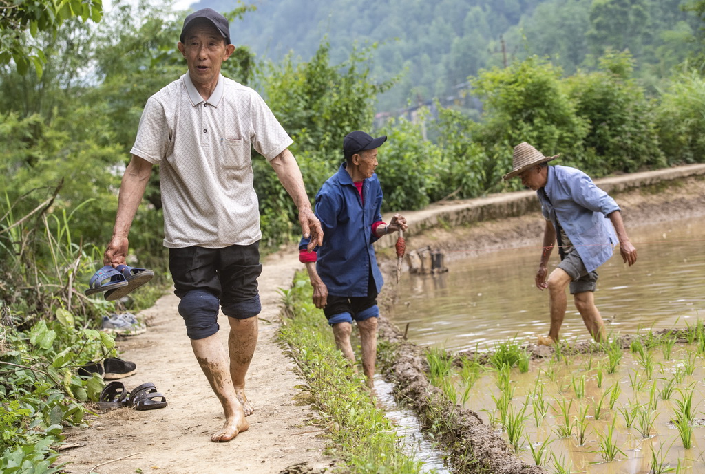 516ꖑˇ䶨飨һЬ_һKˮ