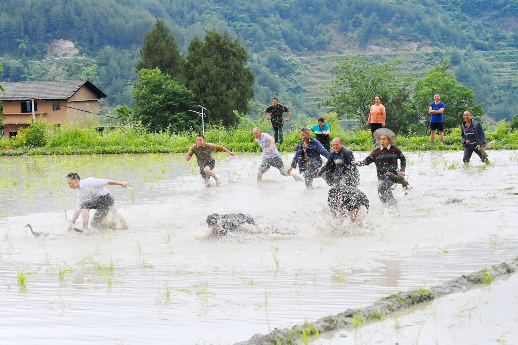 65ؑcοhlμҎrĴ񅢼ӑc׻Alꐱz