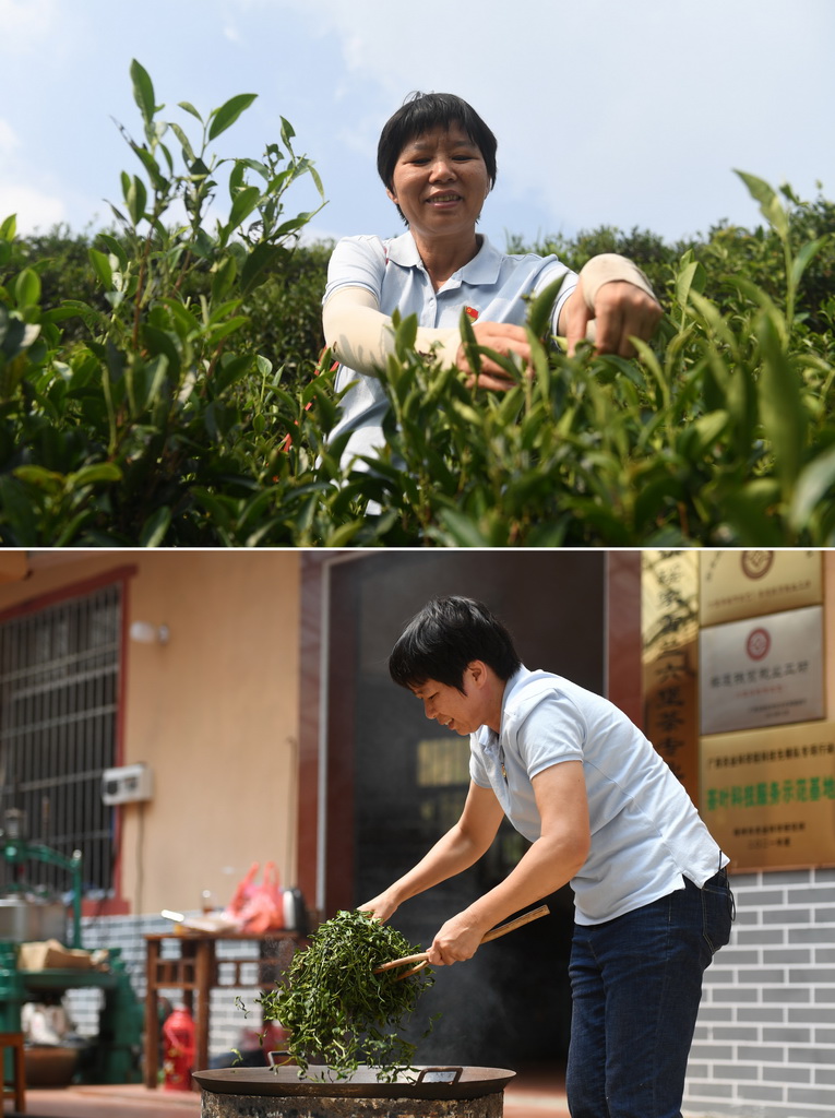 ƴƬψDڏVnhɽƺ΅^|ĻzaĿڲˇˇԂףѩmڲɲDףѩm裨2022922ՔzAӛ ꑲ z