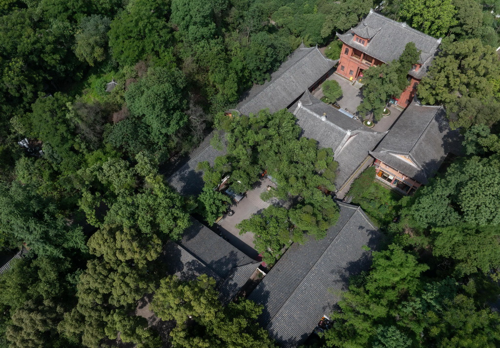 ɽ𾰅^£65Քzo˙CƬ