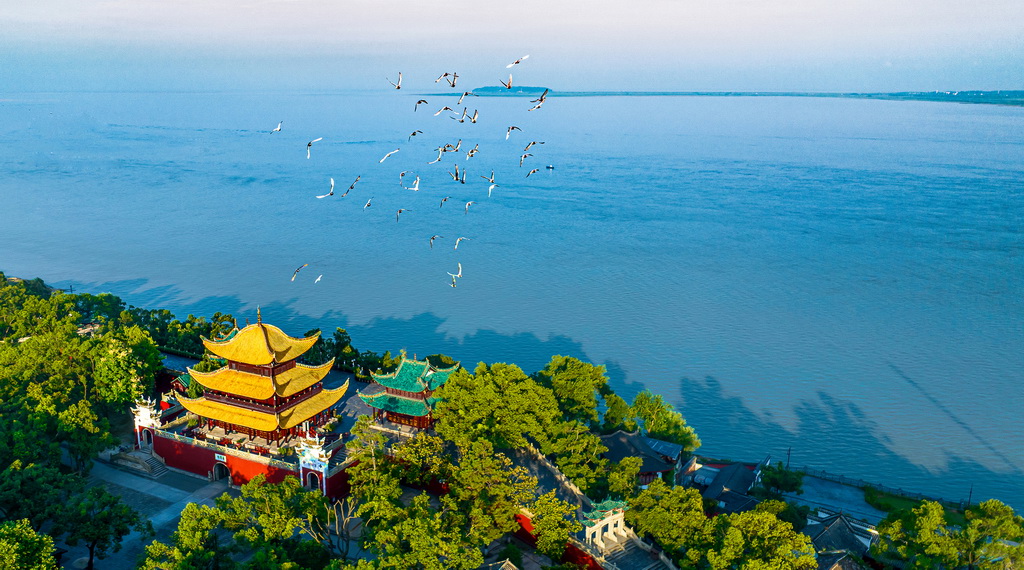 2024616ںʡĔzꖘǣo˙CƬAl z