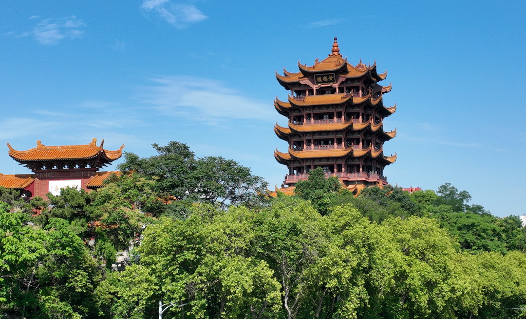 202463ںʡhĔzSQǣo˙CƬAӛ  z