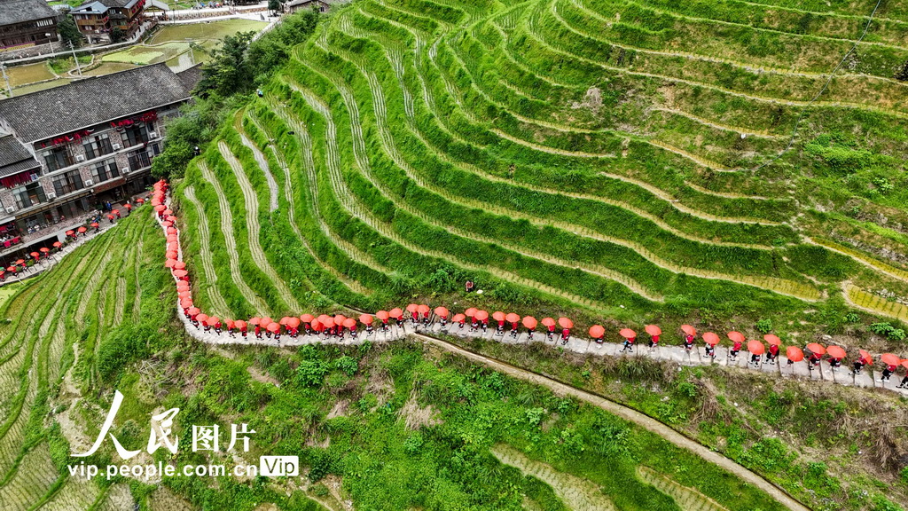 7月11日，廣西龍勝各族自治縣龍脊鎮大寨村，數百名瑤族同胞身著節日盛裝參加民俗巡游活動。