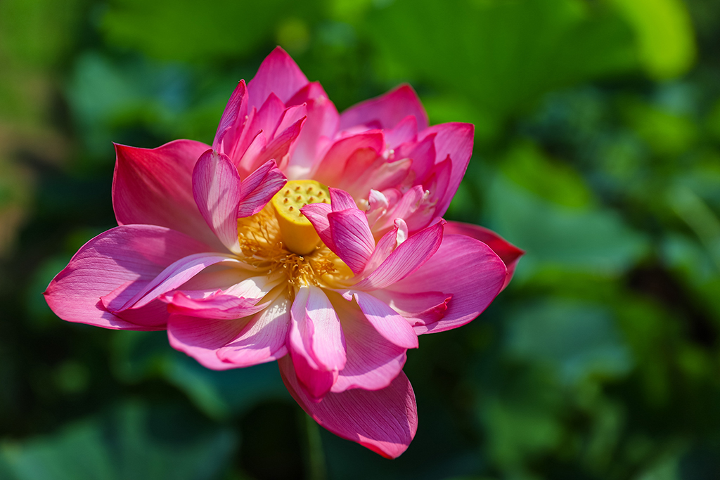 711ɽ|u@ˇ[@˯ɏ@^ĔzĺɻtGAlz