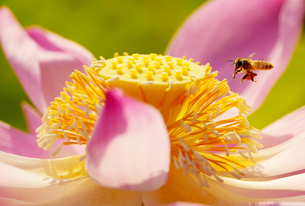 712ڏVόߌ^·ɽ@L^ĔzĺɻAlRAz