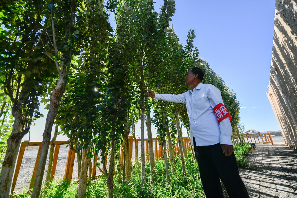 716ȫHֲİחAӛ ɱ z