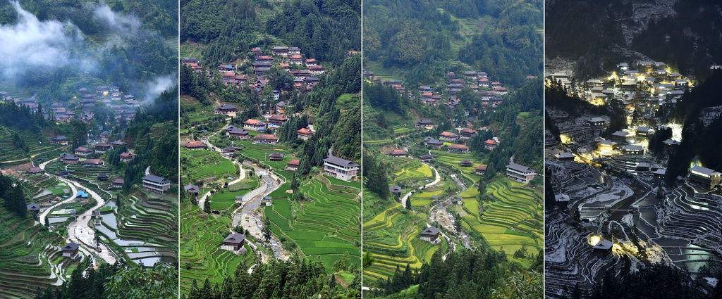 這是2021年至2024年間拍攝的烏英屯的春、夏、秋、冬（從左至右）。