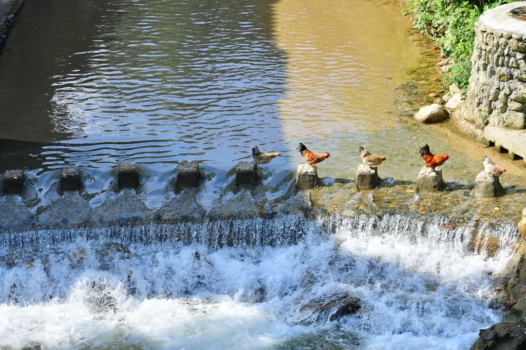 Ӣ̓Ȏֻu^ӣ2021821Քz