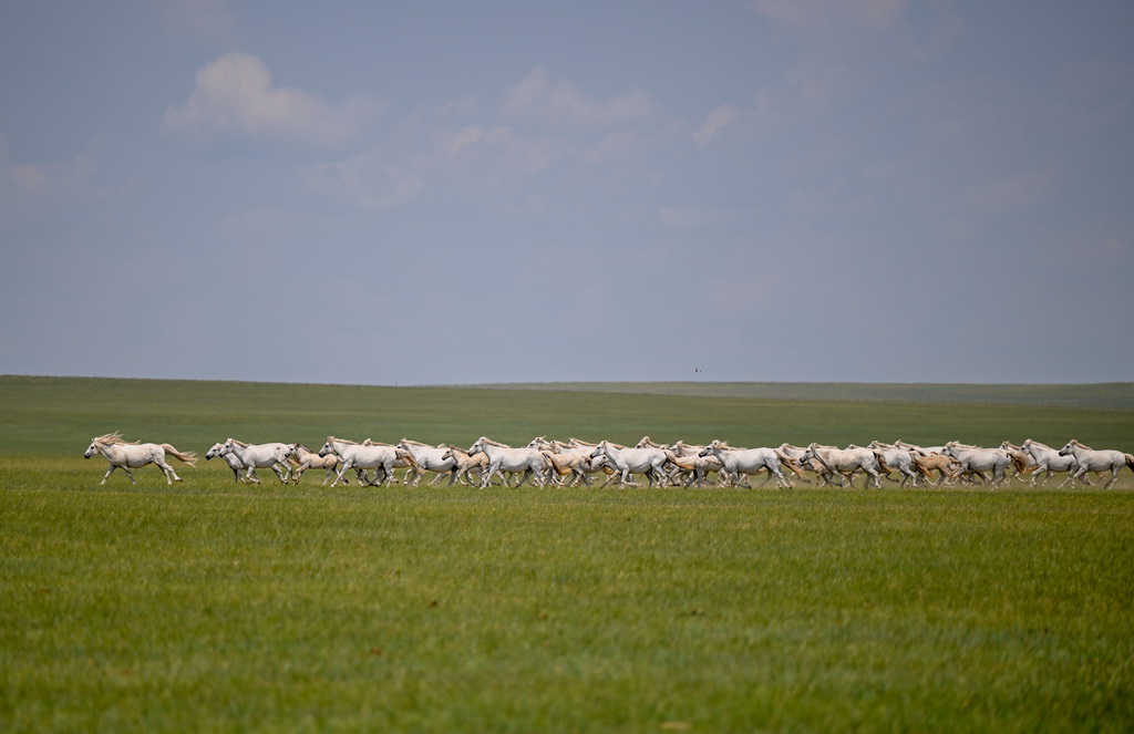 @717ĔzĞ_ҵİRȺ30qĞ_2017ăɹrIWISصmKľ~պ͈D²^HеRUɞһRˡҰRȺєU90ƥְ֧RBֳeRaIR̮aIںϰlչȫɫaIһƥRxu20003000ԪBaNYRBֳM҂¸ԶBֳRRaI_fAӛ B z