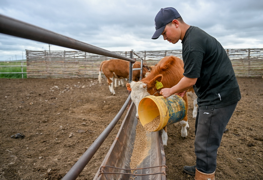 ľϣڽoţιϣ716Քz31qİľϣ͏KľD²2018Ķ_˹WwصlIͥ挦݈˻Ʒ|͵Ȇ}eO푑̖ͨ^ȺYţϢnţ似geƄFBҼĿǰ4000݈60^Aĸţ׃݈B@ľϣfBģʽţƷ|ͳڃrBţ^ǰ@LAӛ B z